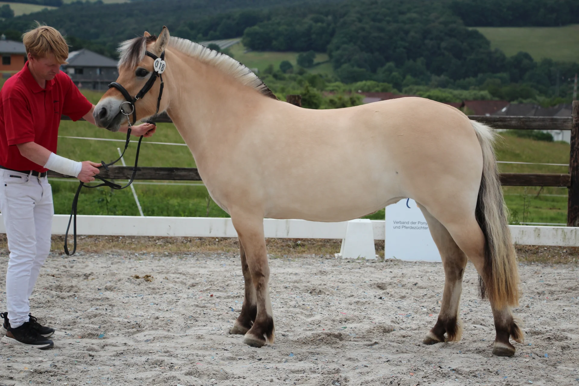 Bild: KNr 18