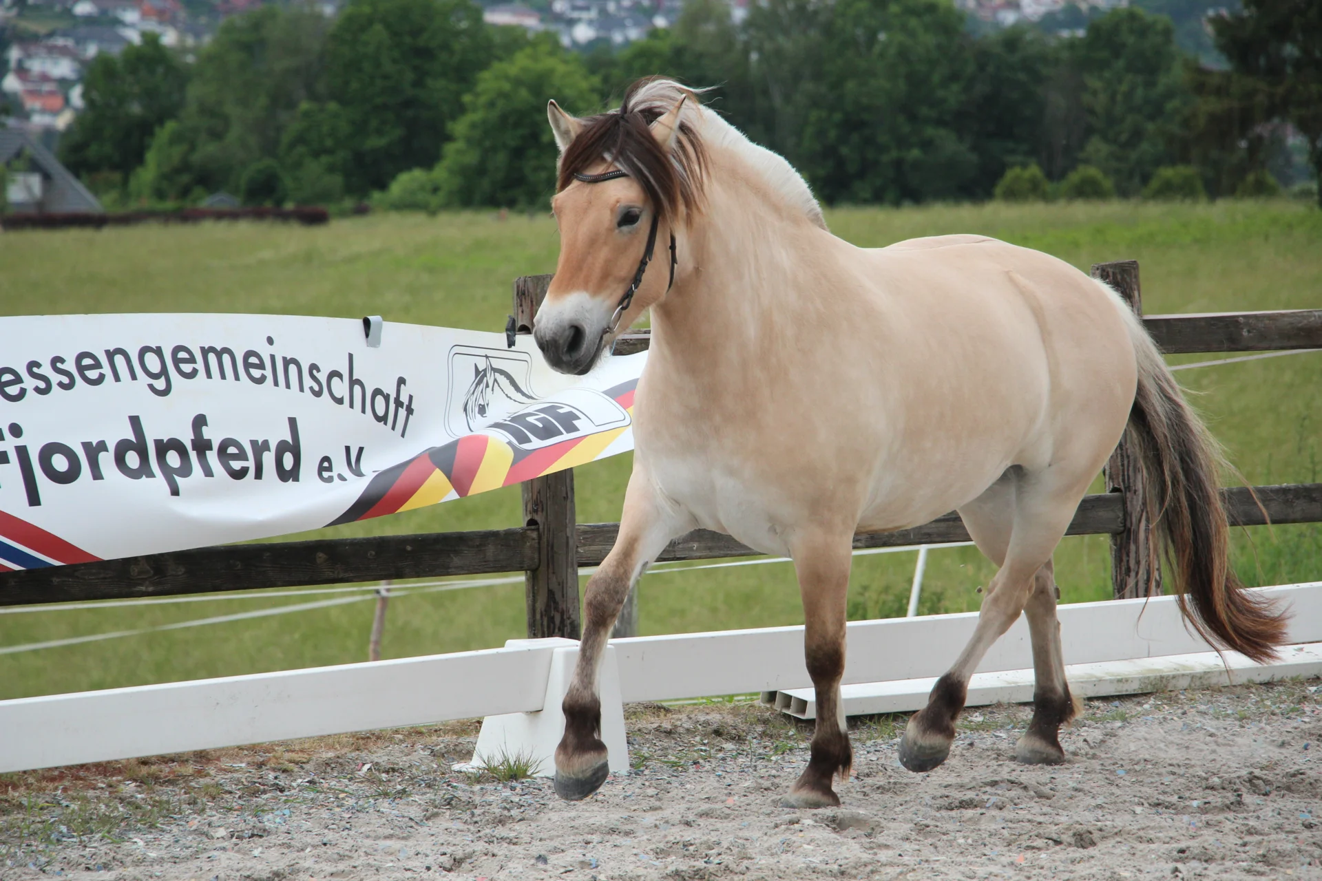 Bild: KNr 20