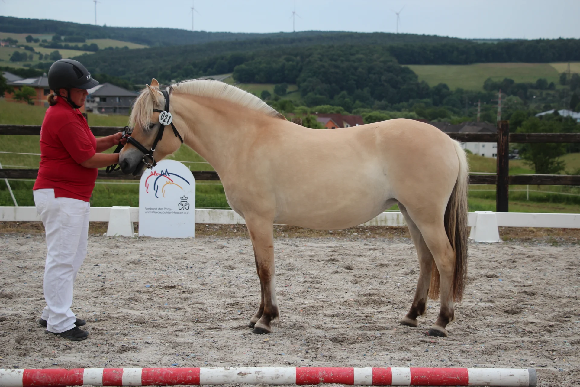Bild: KNr 21