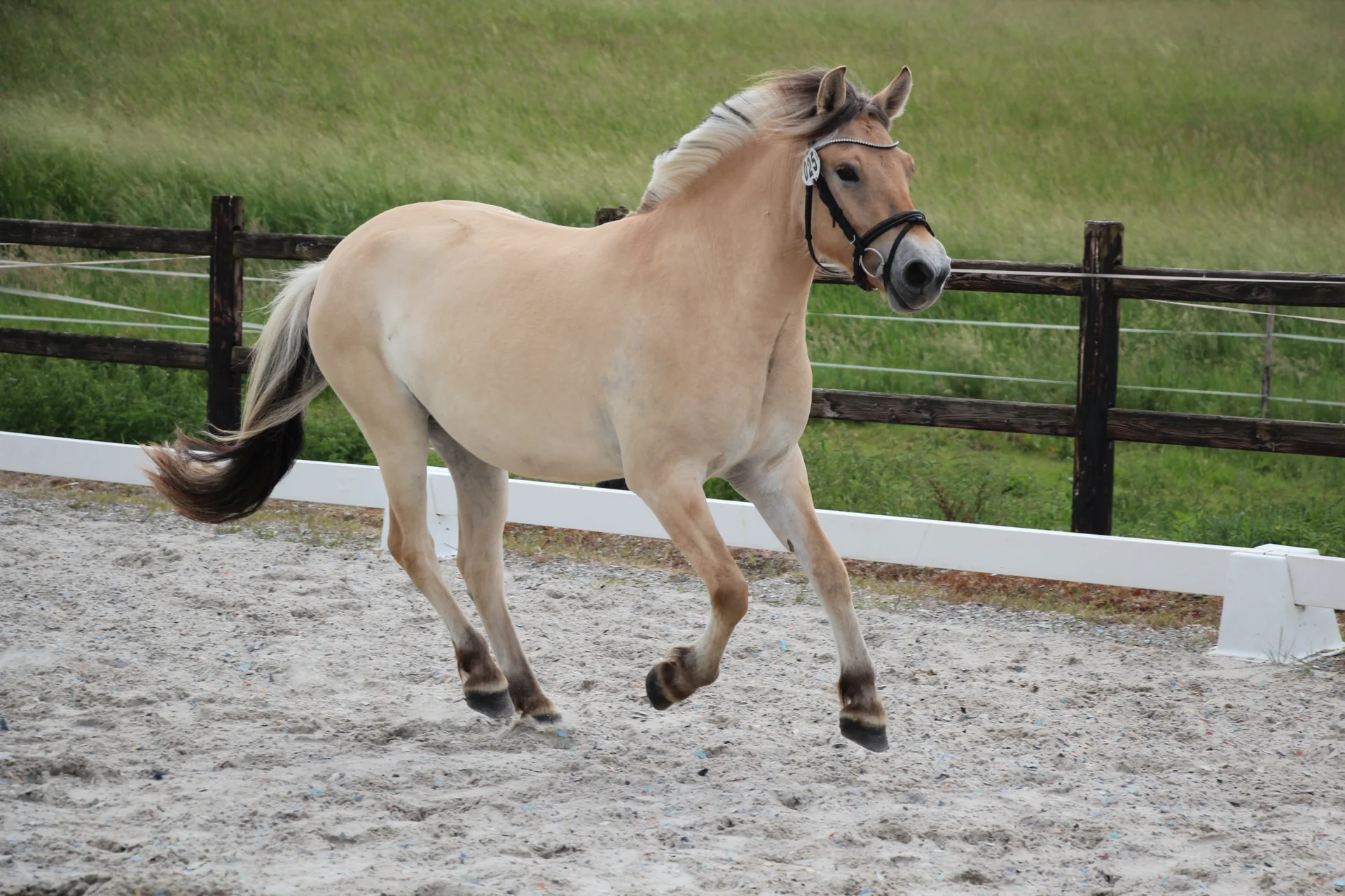 Bild: KNr 25