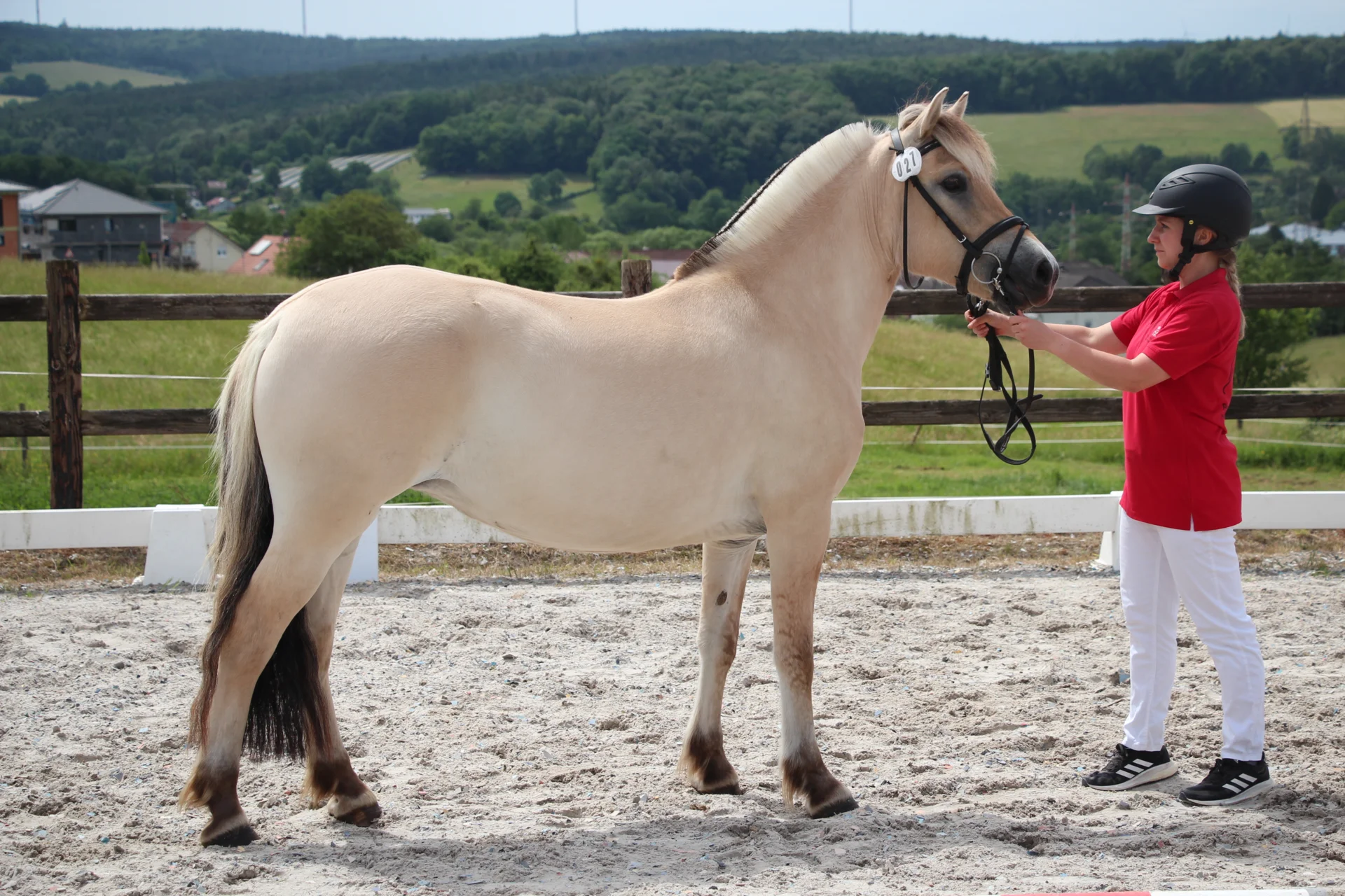 Bild: KNr 27