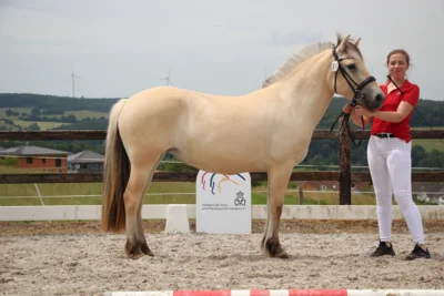 KNr 15  (Bild vergr&ouml;&szlig;ern)