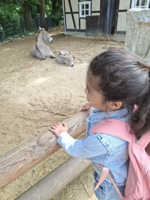 Foto des Albums: Kindertag 2026