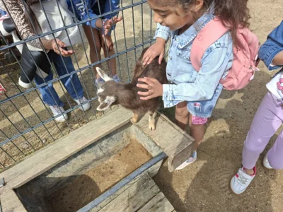 Foto des Albums: Kindertag 2026