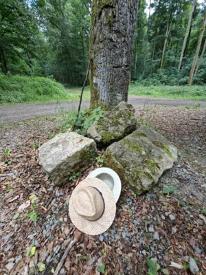 Foto des Albums: Wanderung mit dem Kammergut-Verein Jüchsen zur Elmighütte