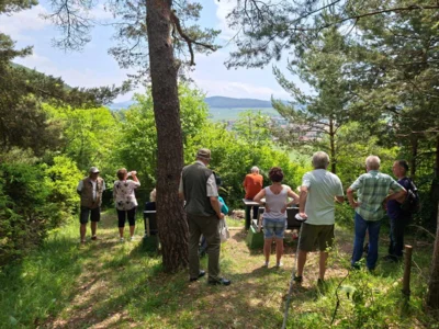 Foto des Albums: Wanderung mit dem Kammergut-Verein Jüchsen zur Elmighütte