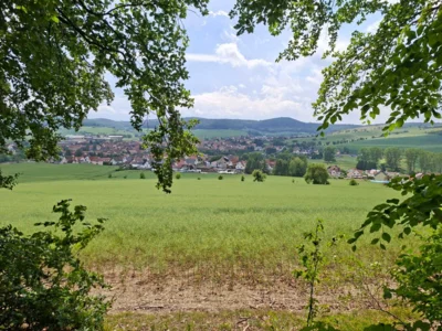 Foto des Albums: Wanderung mit dem Kammergut-Verein Jüchsen zur Elmighütte