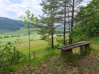 Foto des Albums: Wanderung mit dem Kammergut-Verein Jüchsen zur Elmighütte