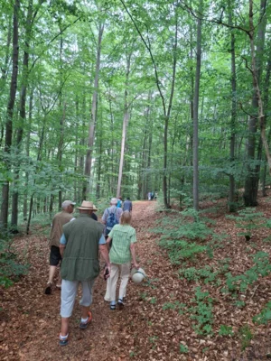 Foto des Albums: Wanderung mit dem Kammergut-Verein Jüchsen zur Elmighütte