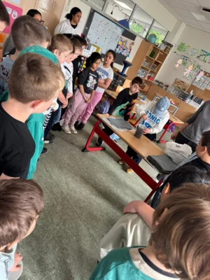 Foto des Albums: Projektwoche: Nachhaltigkeit