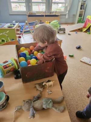 Foto des Albums: Rückblick April/Mai Mini- und kleine Füchse