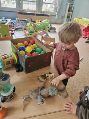 Foto des Albums: Rückblick April/Mai Mini- und kleine Füchse (02.​06.​2026)