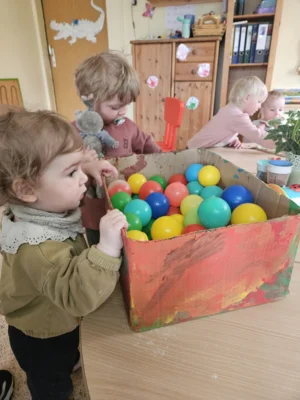 Foto des Albums: Rückblick April/Mai Mini- und kleine Füchse