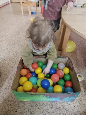Foto des Albums: Rückblick April/Mai Mini- und kleine Füchse