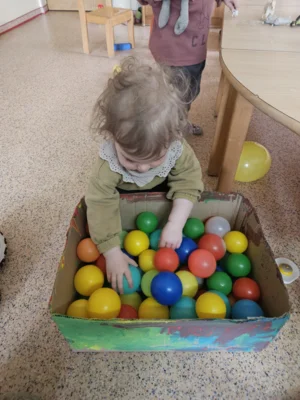 Foto des Albums: Rückblick April/Mai Mini- und kleine Füchse