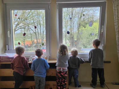 Foto des Albums: Rückblick April/Mai Mini- und kleine Füchse