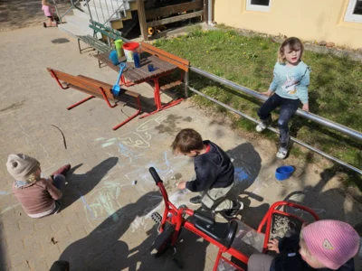 Foto des Albums: Rückblick April/Mai Mini- und kleine Füchse