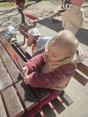 Foto des Albums: Rückblick April/Mai Mini- und kleine Füchse