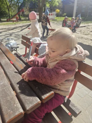 Foto des Albums: Rückblick April/Mai Mini- und kleine Füchse