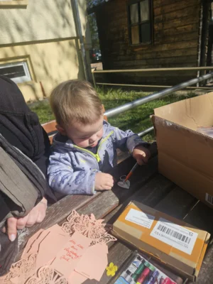 Foto des Albums: Rückblick April/Mai Mini- und kleine Füchse