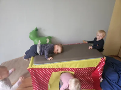 Foto des Albums: Rückblick April/Mai Mini- und kleine Füchse