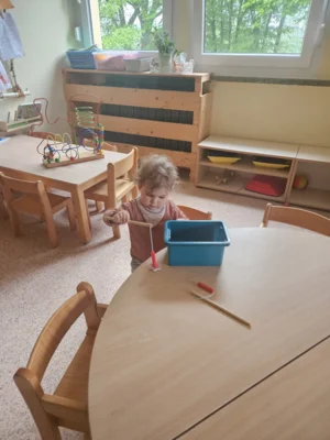 Foto des Albums: Rückblick April/Mai Mini- und kleine Füchse