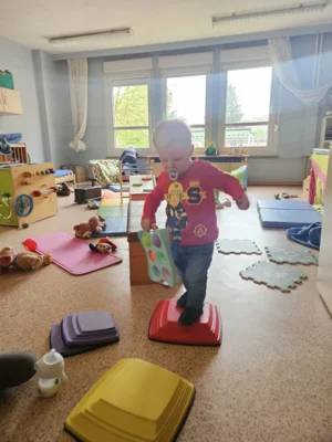 Foto des Albums: Rückblick April/Mai Mini- und kleine Füchse