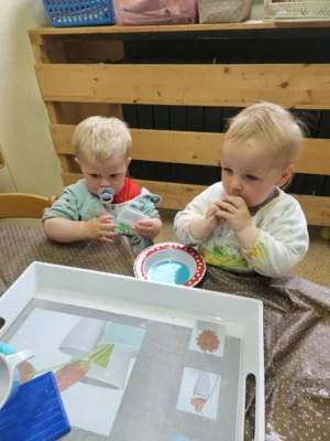 Foto des Albums: Rückblick April/Mai Mini- und kleine Füchse