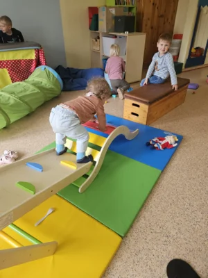 Foto des Albums: Rückblick April/Mai Mini- und kleine Füchse