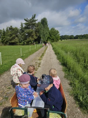 Foto des Albums: Rückblick April/Mai Mini- und kleine Füchse (02.​06.​2026)