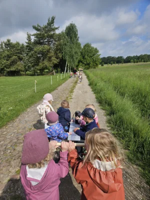 Foto des Albums: Rückblick April/Mai Mini- und kleine Füchse