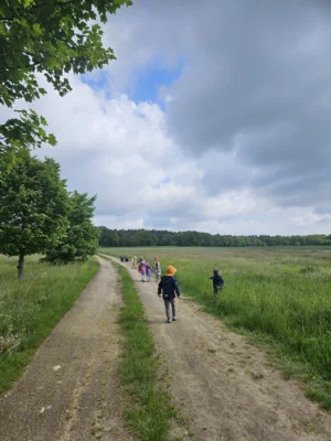 Foto des Albums: Rückblick April/Mai Mini- und kleine Füchse