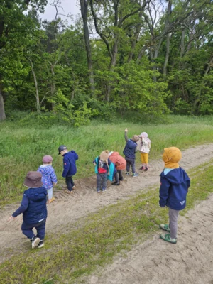 Foto des Albums: Rückblick April/Mai Mini- und kleine Füchse