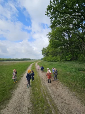Foto des Albums: Rückblick April/Mai Mini- und kleine Füchse