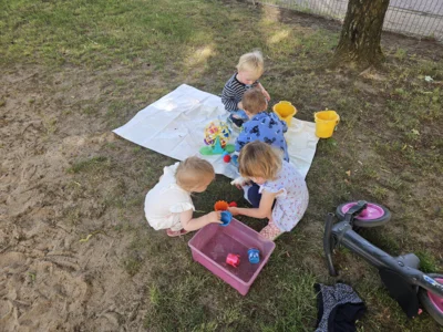Foto des Albums: Rückblick April/Mai Mini- und kleine Füchse