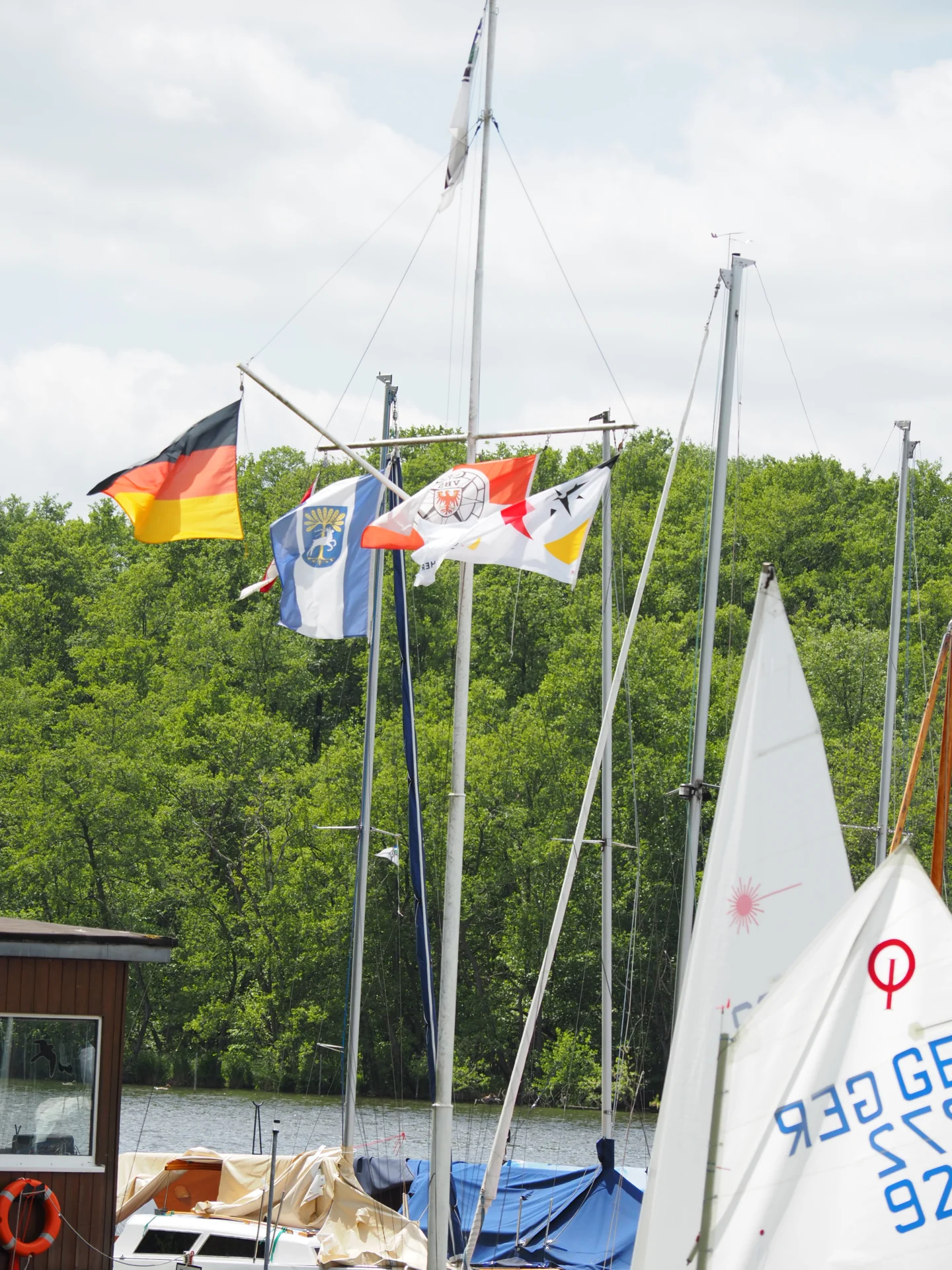 Bild der Galerie
