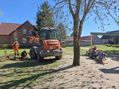 Foto des Albums: Rückblick April/Mai Große Füchse