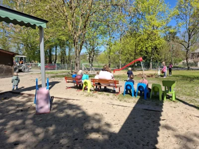 Foto des Albums: Rückblick April/Mai Große Füchse