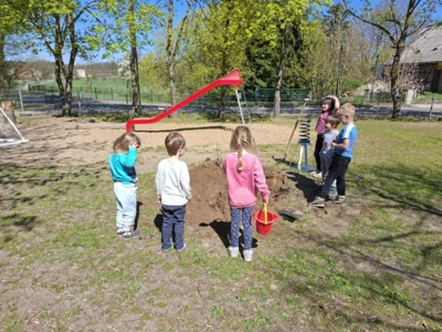 Foto des Albums: Rückblick April/Mai Große Füchse