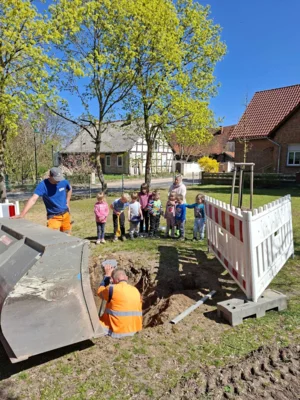 Foto des Albums: Rückblick April/Mai Große Füchse