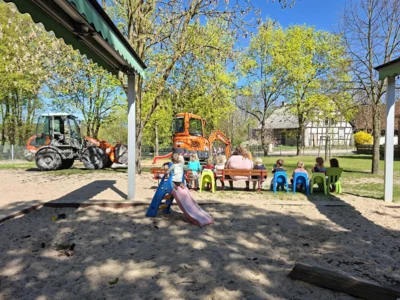 Foto des Albums: Rückblick April/Mai Große Füchse