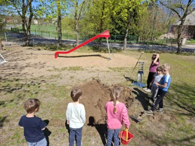 Foto des Albums: Rückblick April/Mai Große Füchse