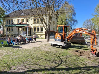 Foto des Albums: Rückblick April/Mai Große Füchse