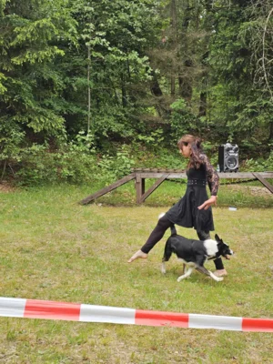 Foto des Albums: 6. Meininger Tiererlebnistag