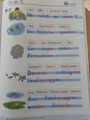 Foto des Albums: Das Qu, qu im Deutschunterricht Kl. 1