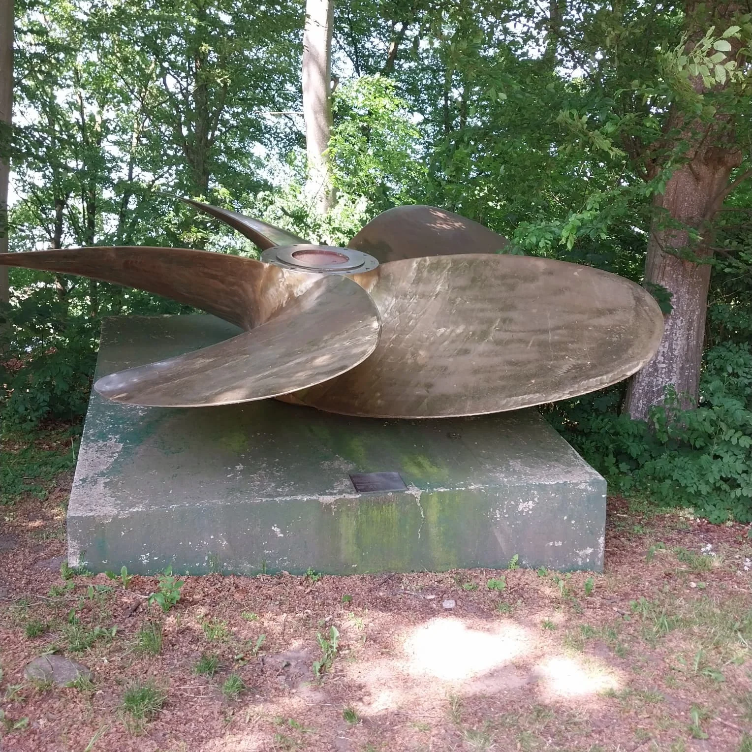 Bild der Galerie