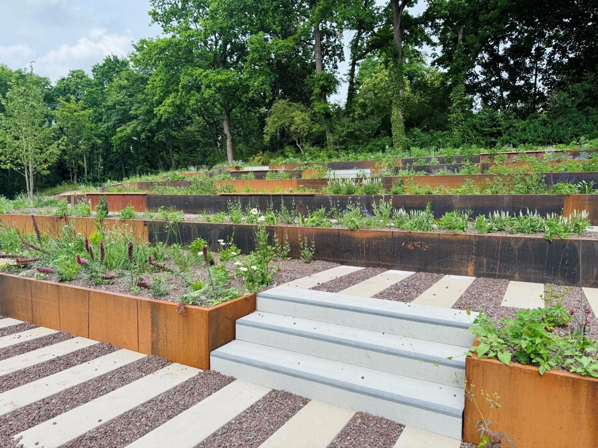 Bild: neue enstandene Pflanzterrassen am Schwanteich