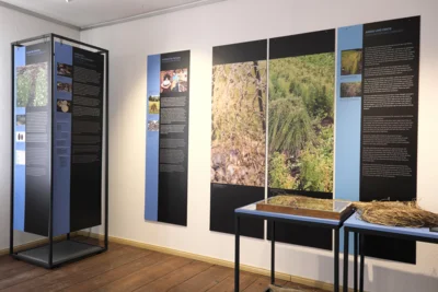 Foto des Albums: Ausstellungseröffnung 