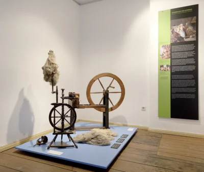 Foto des Albums: Ausstellungseröffnung 