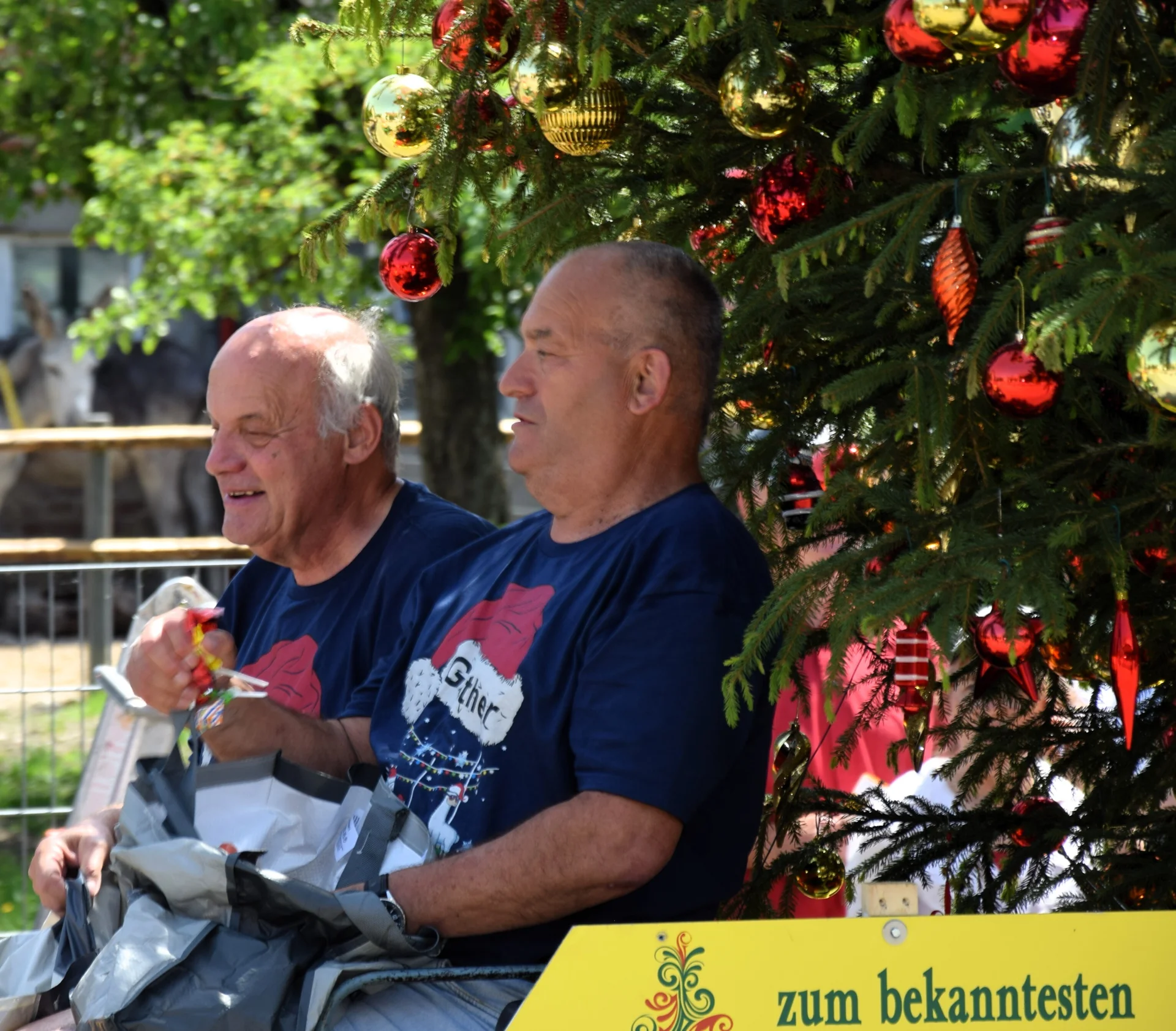 Bild: Christbaum Kleinheinz